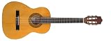 Stagg Music Student Guitar Package C530Pack