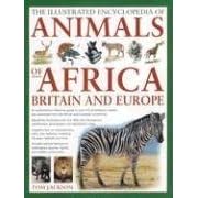 The Illustrated Encyclopedia of Animals of Africa, Britain and Europe: An Authoritative... by Tom Jackson