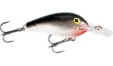 Fishing: Rapala Fat Rap Lure