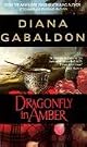 Dragonfly in Amber