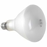 GE Indoor Miser(R) Floodlight, R40, 5in. Diameter, 65 Watts