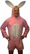 Bunny Pink Short Jumpsuit Adult Costume