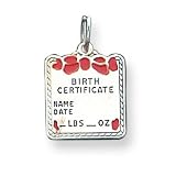 Sterling Silver Pink Birth Certificate Charm with 20 inch Sterling Silver Chain