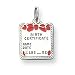 Sterling Silver Pink Birth Certificate Charm with 20 inch Sterling Silver Chain