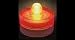 Box of 10 Acolyte Submersible Floralyte Orange - On Sale Now!