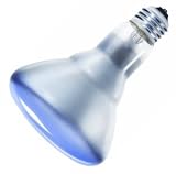 Philips 137851 - 65BR30/FL/NTL Light Bulb