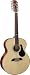 Alvarez AJ417-12 Artist Series Jumbo Acoustic Guitar, 12 String