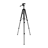 Image of 797681885797