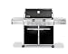Weber 1751001 Summit E-620 Grill, Propane, Black