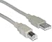 Usb Type A Male / Type B Male Cable, 2.0 Version, 15 Ft