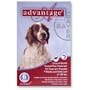 Advantage Flea Control for Dogs
