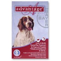 Advantage Flea Control for Dogs