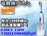 音波式電動歯ブラシ※毎分18000回振動・替えブラシ10個付