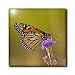 Monarch butterfly on blazing star flower - 6 Inch Ceramic Tile