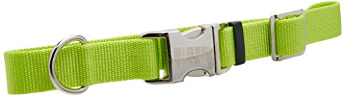 Coastal Pet Adjustable Dog Collar with Metal Buckle - Comfortable Fade-Resistant Dog Collar with Snap Lock - Perfect for Walking & Tie Outs - Lime - 1" x 14"-20"