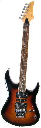 JinYin Electric Guitar Model E422