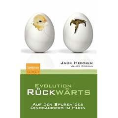 Evolution r�ckw�rts: Auf den Spuren des Dinosauriers im Huhn
