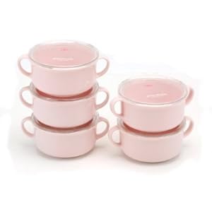 Microwave Party Soup Bowl with Lid & Handle 400ml 5pcs Set, Made in Japan!