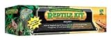 10 Gallon Lighting  Screen Cover Reptile Kit