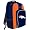 Detroit Lions
