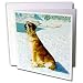 Dogs Saint Bernard - Saint Bernard - Greeting Cards-12 Greeting Cards with envelopes
