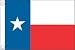 Taylor Made Products Texas Boat Flag (12" x 18")