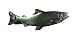 Aphrodite (アフロディーテ) ネクタイピン 魚 サケ 鮭 合金銀色 日本製