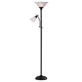 Floor Lamp with Reading Light ~ Lightaccents