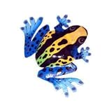 Haitian Metal Art Frog ~ Carrie Art