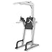 Elite Dip, Leg Raise w/ Chin Up Color Silver , Item Number CHEL18, Sold Per EACH