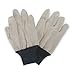 Jersey Gloves, Cotton, XL, White/Blue, PR