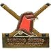 Bowling Green Falcons Hockey Cross Sticks Pin