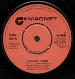 RUN JOEY RUN 7 INCH (7" VINYL 45) UK MAGNET 1978