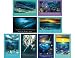 WY SAVE THE OCEAN BULLETIN BOARD
