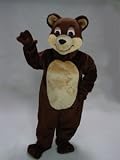 Cartoon Bear Mascot Costume Picture