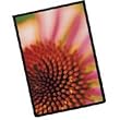 Itoya 11x17" Art Profolio ImagEnvelope Presentation Poly Glass Envelope.