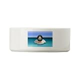 Dog Cat Food Water Bowl Cute Baby Penguin