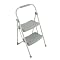 Werner Steel StepRight 2-Step Stool - Green