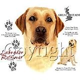 Yellow Labrador Retriever Adult T-Shirt