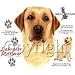 Yellow Labrador Retriever Adult T-Shirt