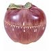 Apple Shaped One Hour Kitchen Timer