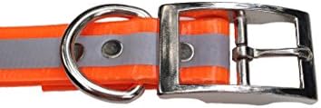 Reflective Poly Nylon Bright Neon Orange Dog Collar (Large)