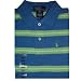 Boys Polo by Ralph Lauren Polo Shirt Striped w/ Pony Many Sizes Available.
