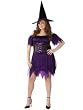 Plus Size Witch Costume Sexy Theatre Costumes Purple Dress Witch Hat