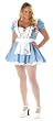 Plus Size Sexy Alice Costume
