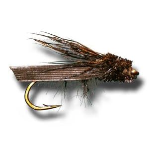 Cricket Fly