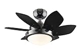 Westinghouse Lighting 7224300 Quince Two Light 24 Inch Reversible Six Blade Indoor Ceiling Fan, Gun Metal with Opal Frosted Glass 31yyHFhyqQL. SL160 Westinghouse Lighting 7224300 Quince Two Light 24 Inch Reversible Six Blade Indoor Ceiling Fan, Gun Metal with Opal Frosted Glass