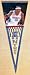 Carmello Anthony #15 Denver Nuggets 13 x 32 NBA Player Pennant from Winning Streak Sports