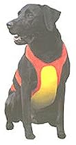 DOG HUNTING VEST REMINGTON Chest Protector - M