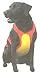 DOG HUNTING VEST REMINGTON Chest Protector - S